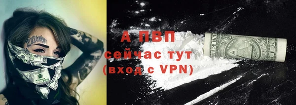 хмурый Богданович