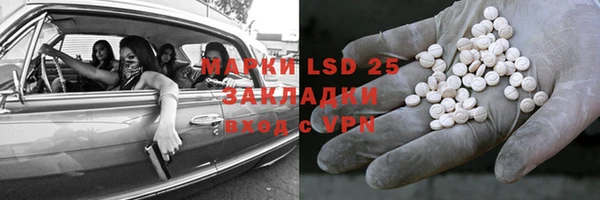 ГАЛЛЮЦИНОГЕННЫЕ ГРИБЫ Белокуриха