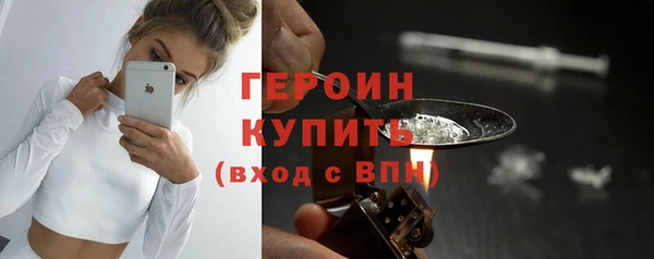 spice Богородицк