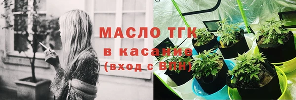 spice Богородицк