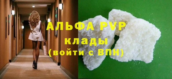 spice Богородицк