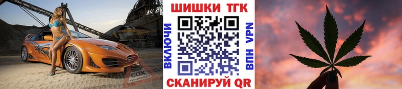 Шишки марихуана план  маркетплейс Telegram  Болгар 